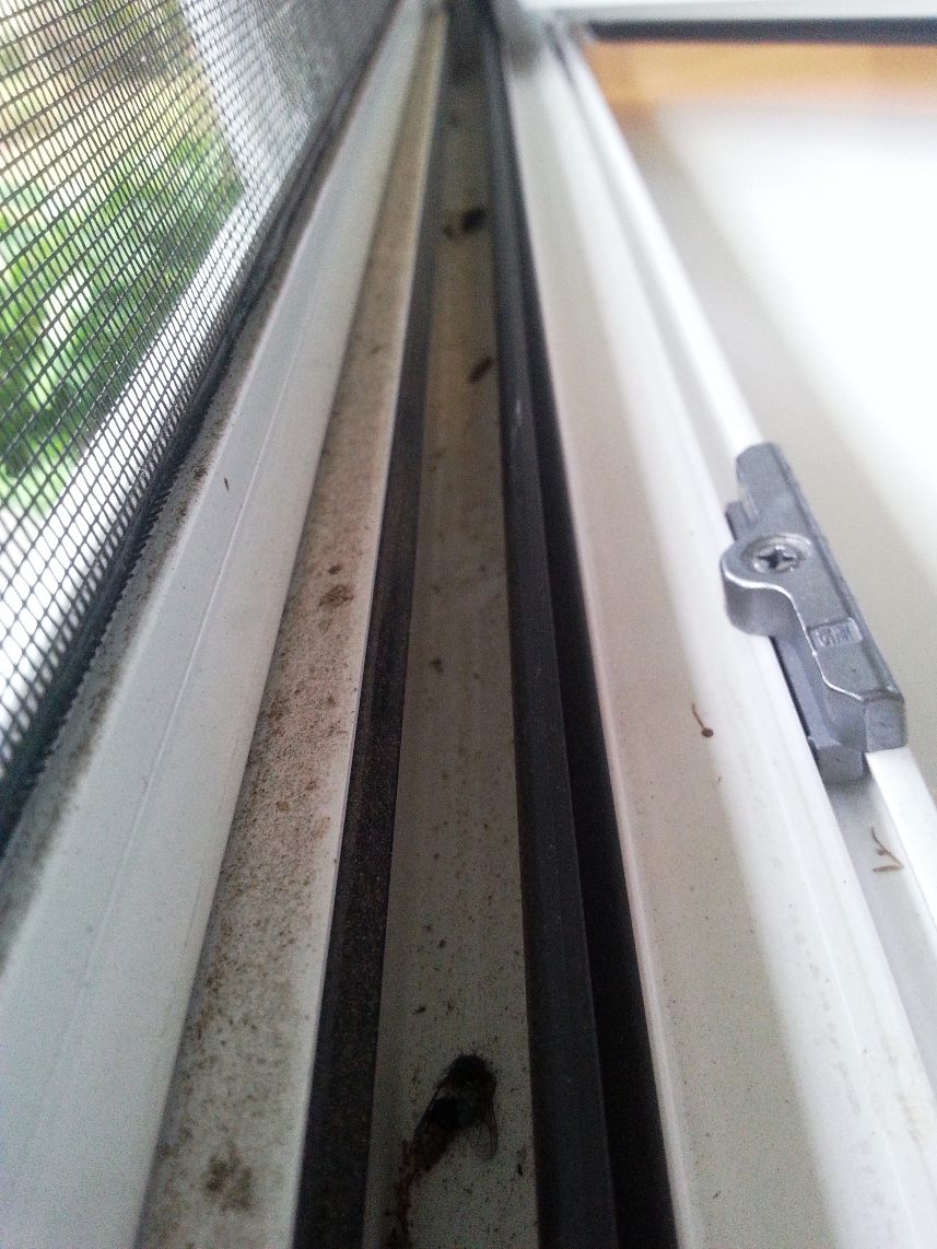 Fall window cleaning and maintenance tips